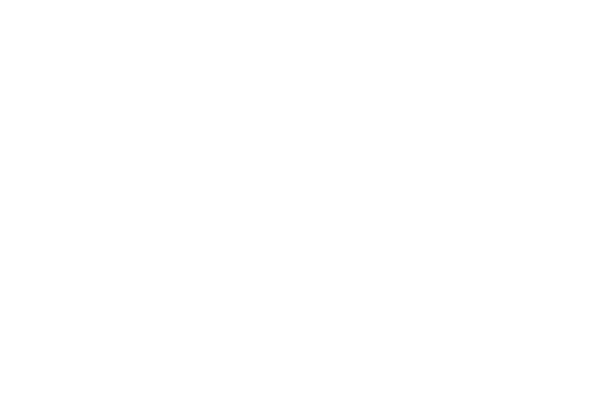 logo-energy-a-partners-power